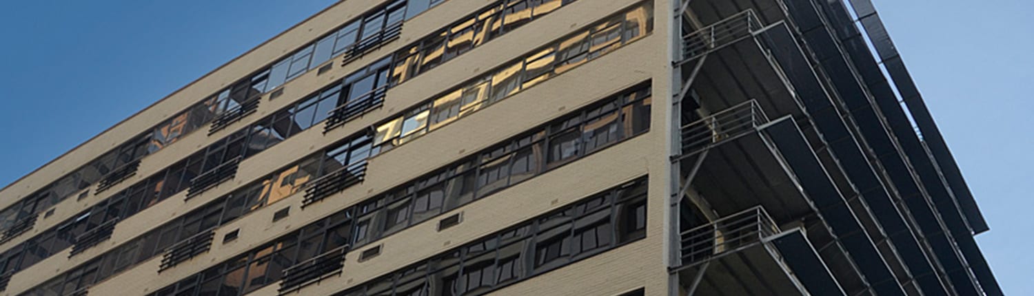 Studio4 - Loop Street - Metal Windows